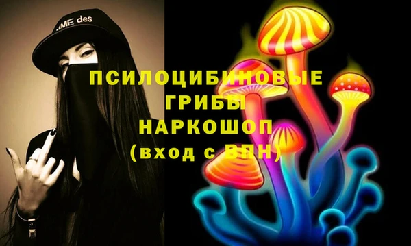 хмурый Киренск
