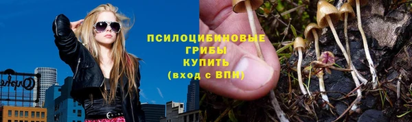 индика Кинешма