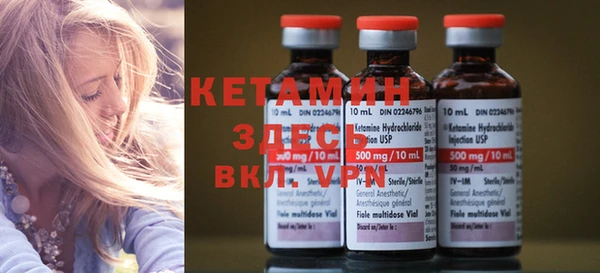 индика Кинешма