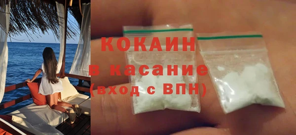 индика Кинешма