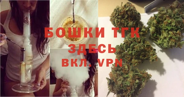 индика Кинешма