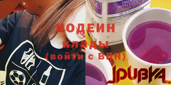 индика Кинешма