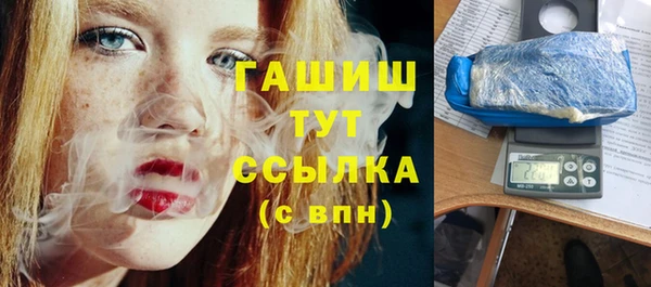 индика Кинешма
