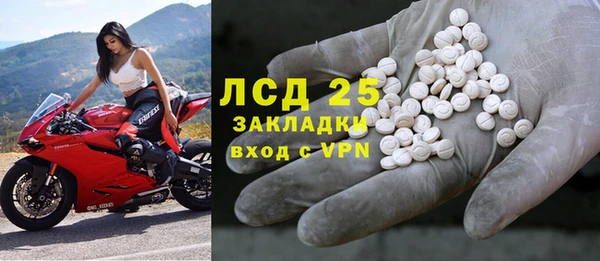 индика Кинешма