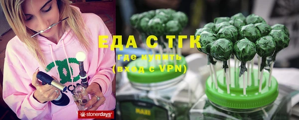 индика Кинешма