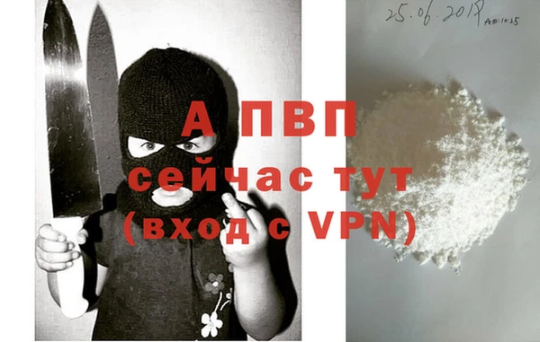 индика Кинешма