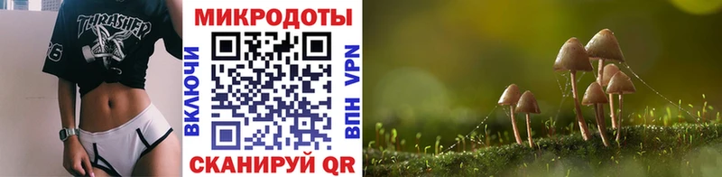 Купить где  Павлово  Псилоцибиновые грибы мухоморы 